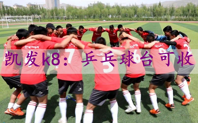 乒乓球台可收