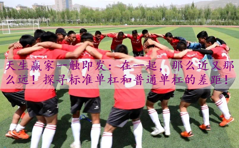 在一起，那么近又那么远！探寻标准单杠和普通单杠的差距！