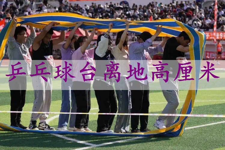 乒乓球台离地高厘米
