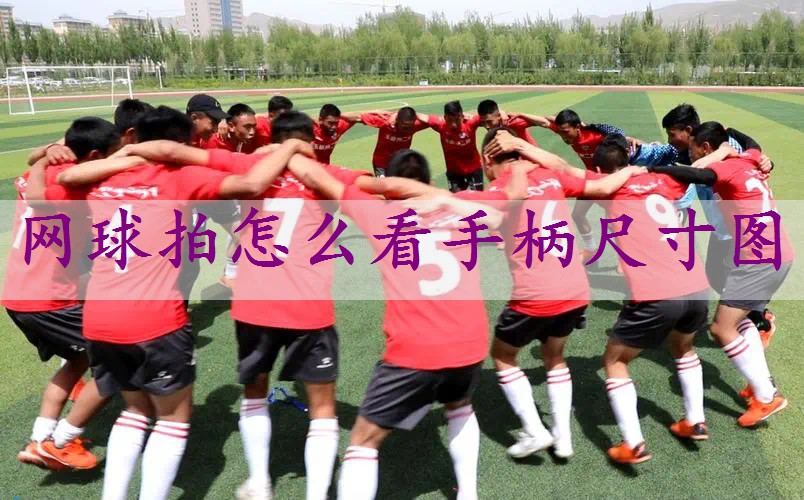 网球拍怎么看手柄尺寸图