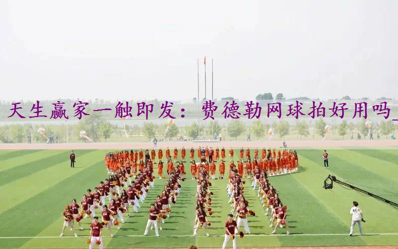 费德勒网球拍好用吗_