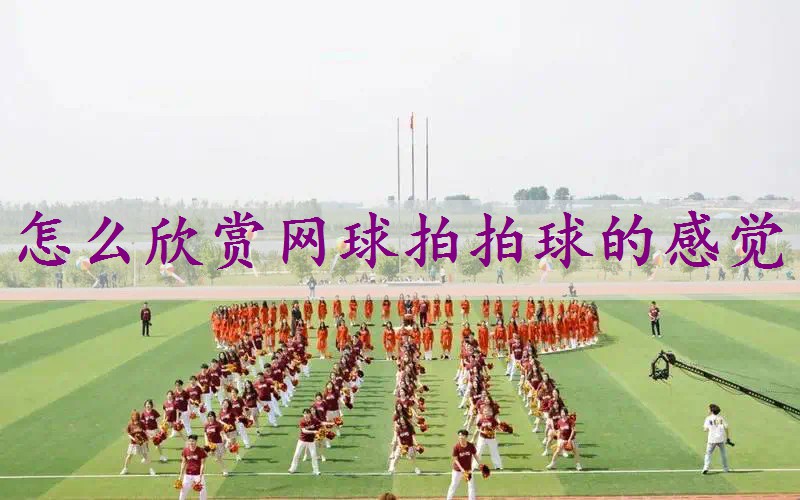 怎么欣赏网球拍拍球的感觉