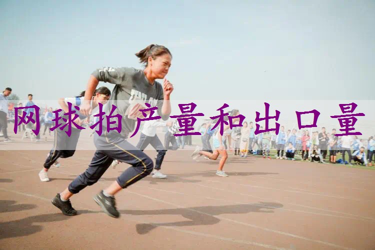 网球拍产量和出口量