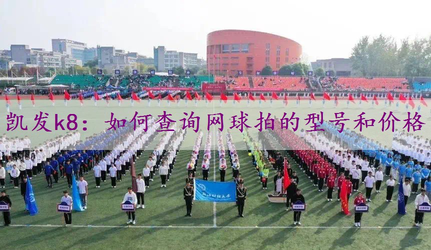 如何查询网球拍的型号和价格
