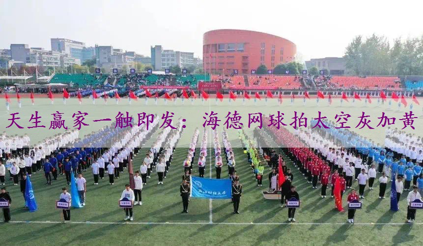 海德网球拍太空灰加黄