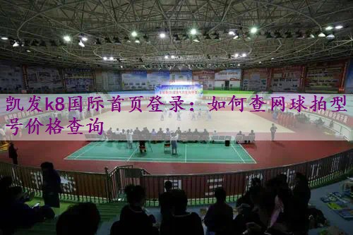 如何查网球拍型号价格查询