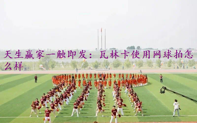 瓦林卡使用网球拍怎么样
