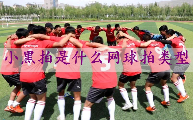 小黑拍是什么网球拍类型