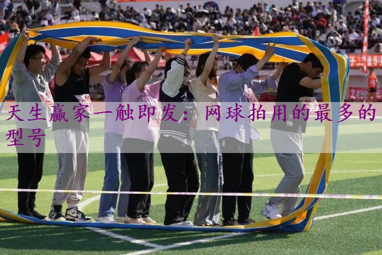 网球拍用的最多的型号
