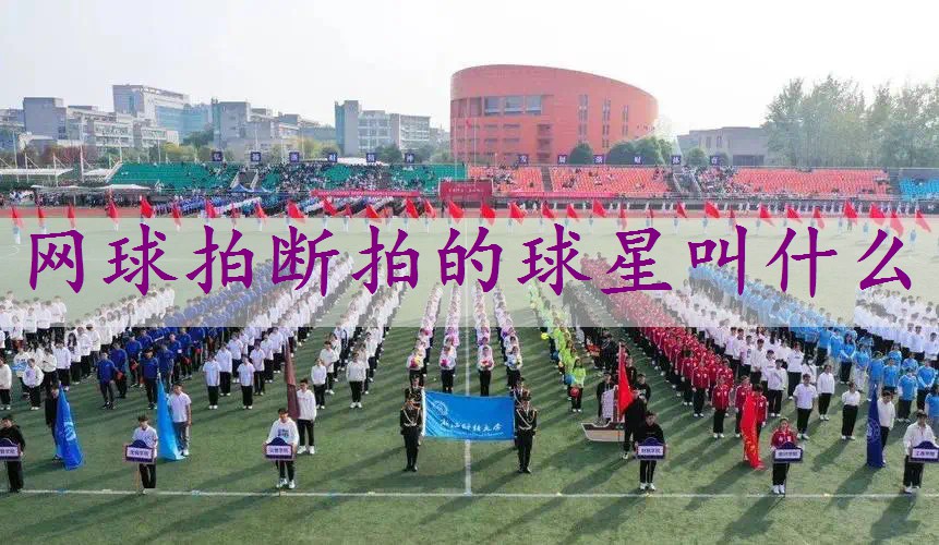 网球拍断拍的球星叫什么