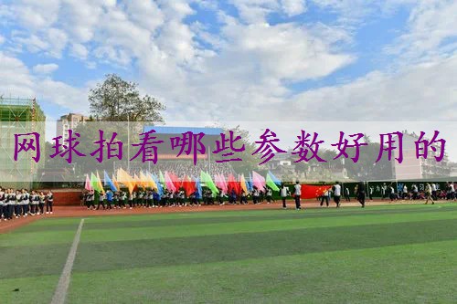 网球拍看哪些参数好用的