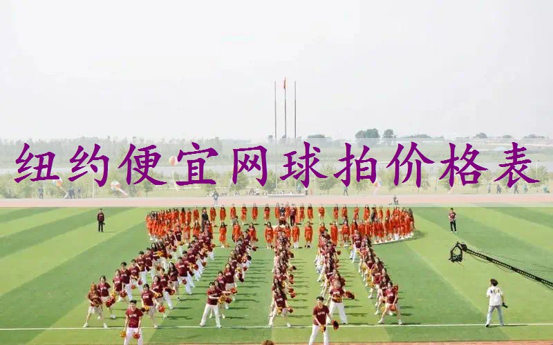 纽约便宜网球拍价格表