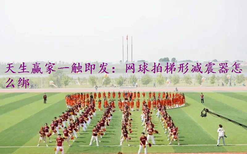 网球拍梯形减震器怎么绑