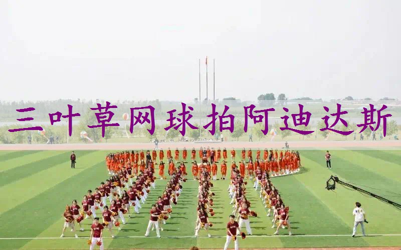 三叶草网球拍阿迪达斯