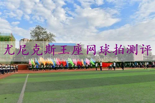 尤尼克斯王座网球拍测评