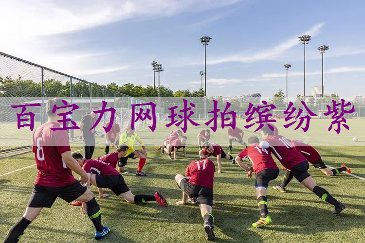 百宝力网球拍缤纷紫