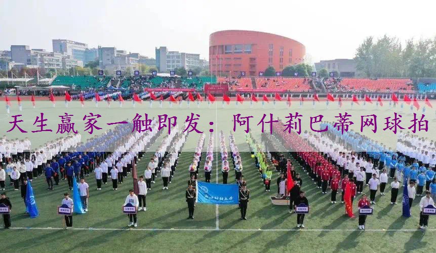 阿什莉巴蒂网球拍