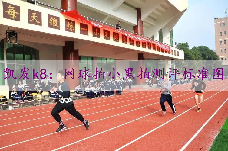 网球拍小黑拍测评标准图
