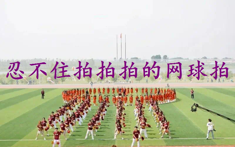 忍不住拍拍拍的网球拍