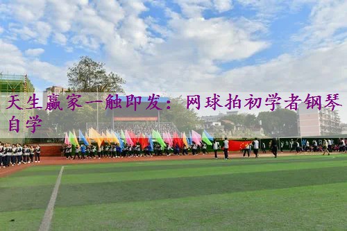 网球拍初学者钢琴自学