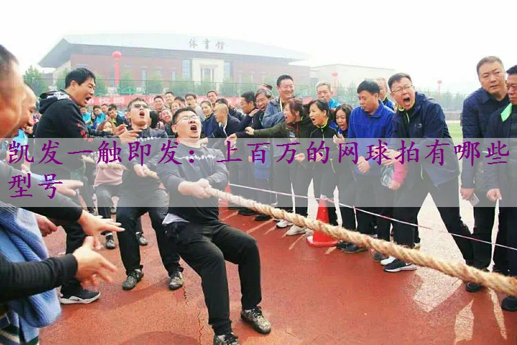 上百万的网球拍有哪些型号