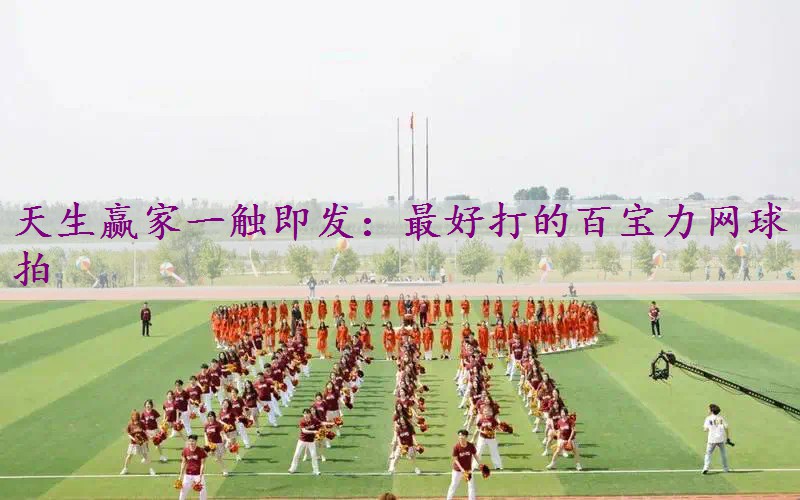 最好打的百宝力网球拍