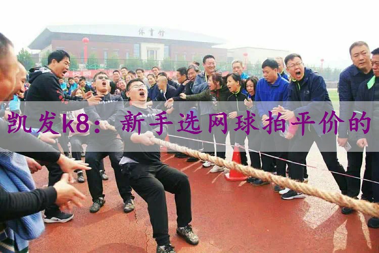 新手选网球拍平价的