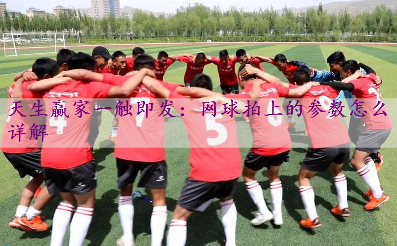 网球拍上的参数怎么详解