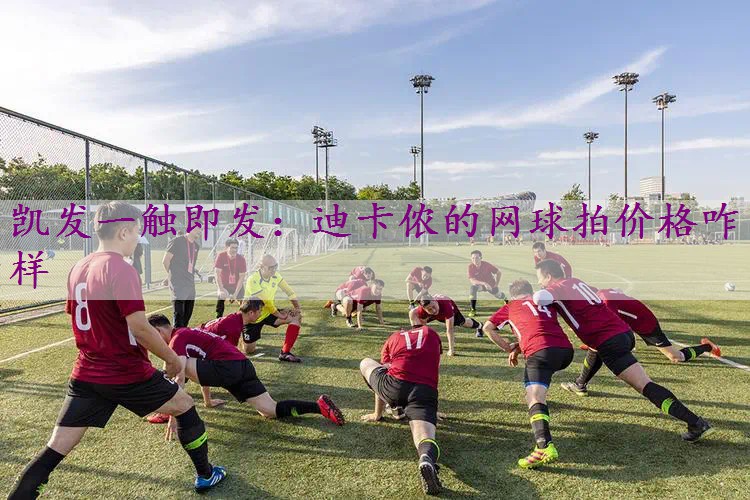 迪卡侬的网球拍价格咋样