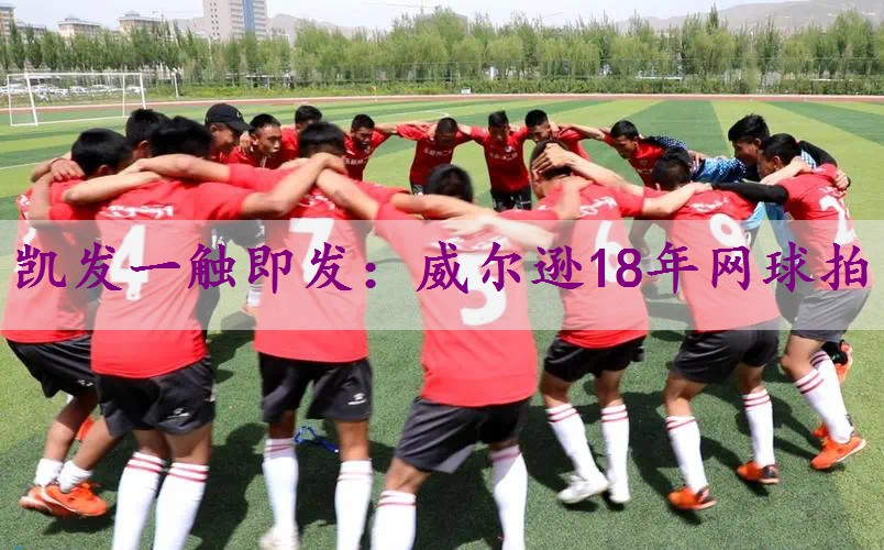 威尔逊18年网球拍