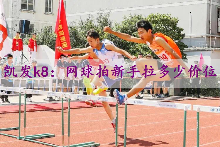 网球拍新手拉多少价位