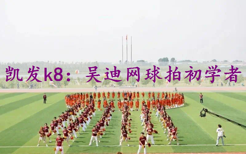 吴迪网球拍初学者