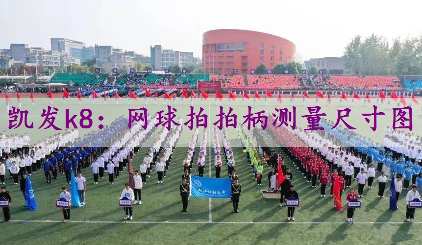 网球拍拍柄测量尺寸图