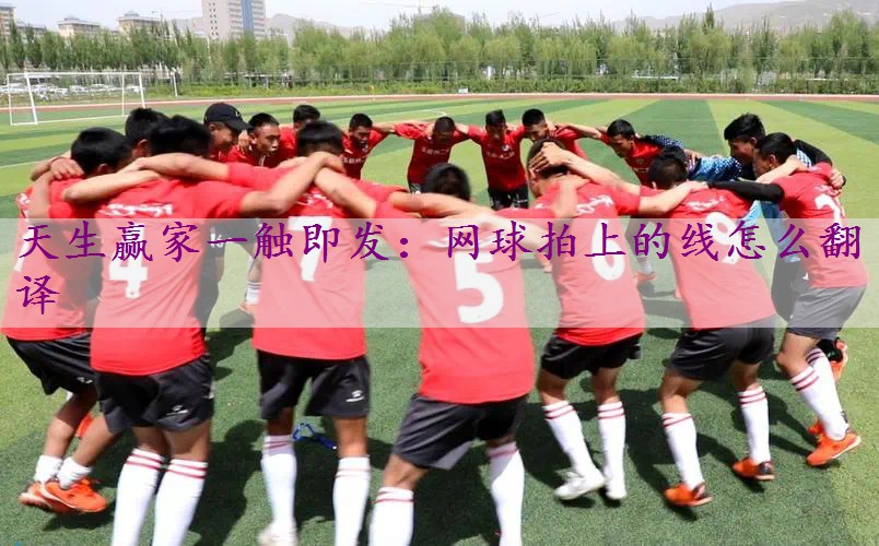 网球拍上的线怎么翻译