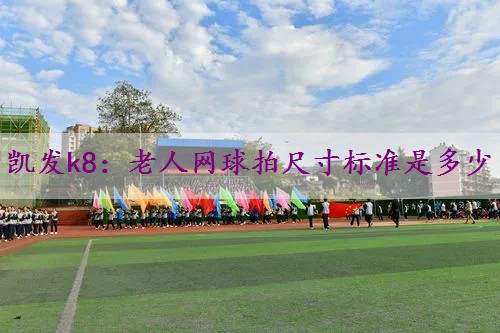 老人网球拍尺寸标准是多少