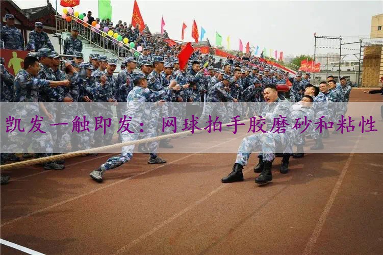 网球拍手胶磨砂和粘性