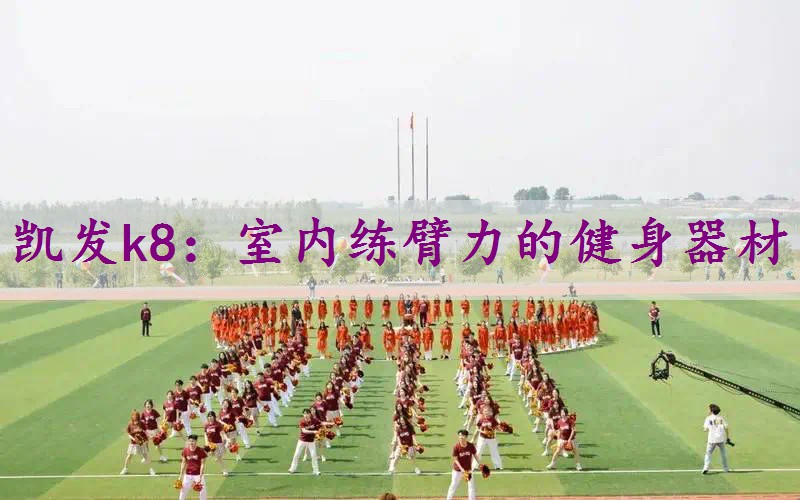 室内练臂力的健身器材